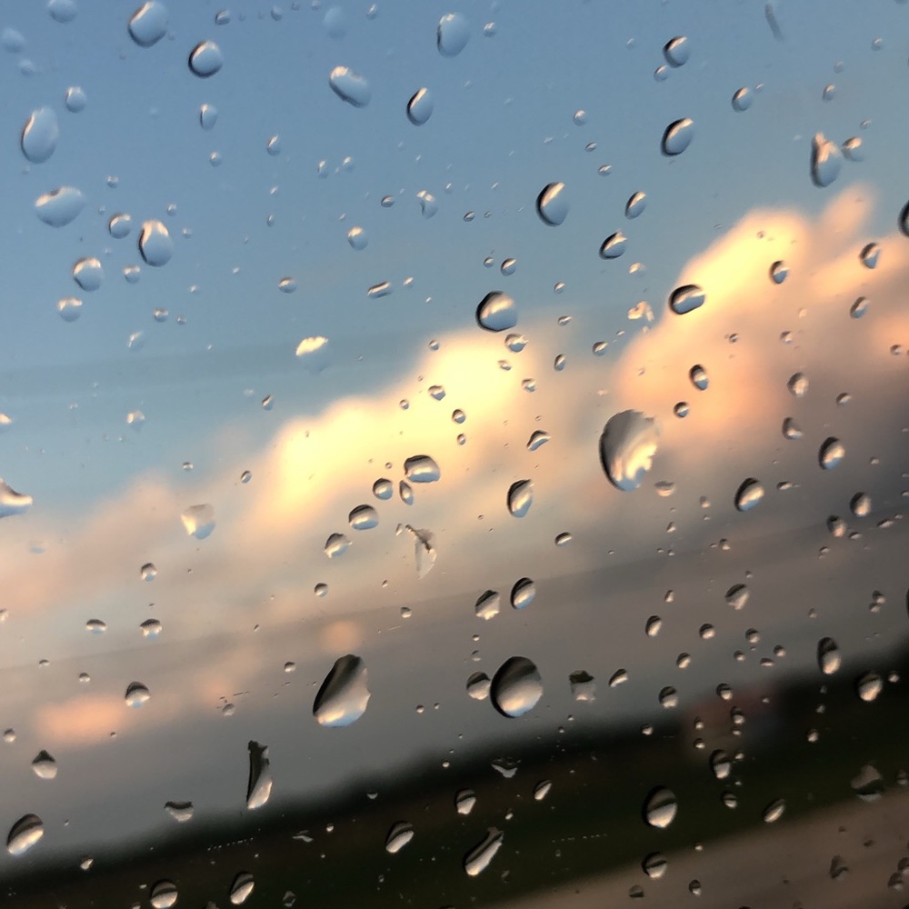 Meet your Posher, Madeline